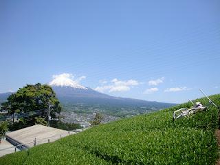 UNA FABBRICA DI TE' SOTTO IL FUJI SAN