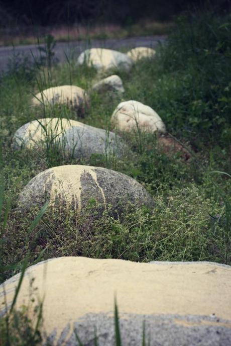 Splattered stones.