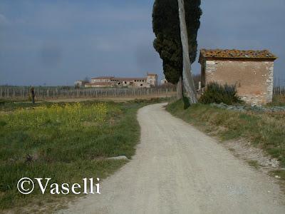 LE CRETE SENESI: STORIA DI FAMIGLIA