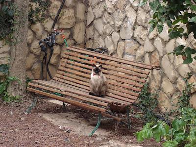 In un giardino mistico