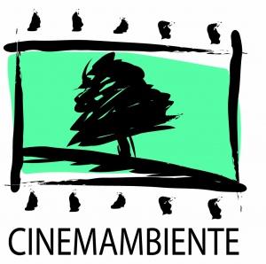 Festival CinemAmbiente 2012