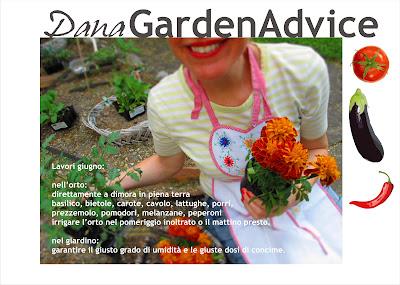 Dana Garden Advice_ Lavori giugno