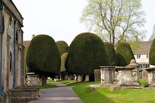 Painswick, Gloucestershire e gli alberi di tasso