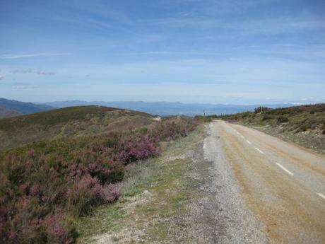 Sul cammino di Santiago