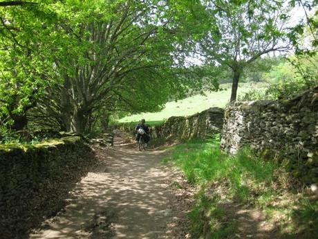 Sul cammino di Santiago