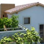 casa attiva di Trezzo Tinella