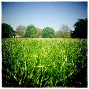 Hilly Fields © LondonSE4