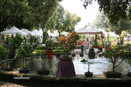 Perugia flower show