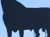 Autoproduzione green, ¡Arriba España!