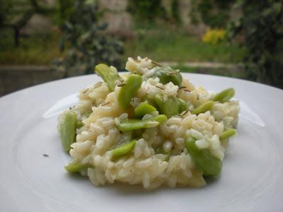 Risotto Fave e semi di Finocchio... ovvero un macco rivisisato!!