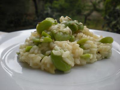 Risotto Fave e semi di Finocchio... ovvero un macco rivisisato!!