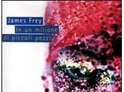 James Frey milione piccoli pezzi