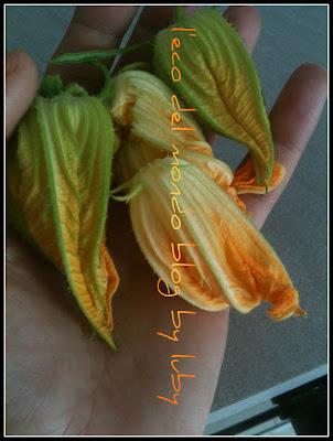 FIORI DI ZUCCA: ORTO SUL BALCONE