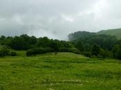 Trekking Lessinia ovvero...pulizia delle Gosse