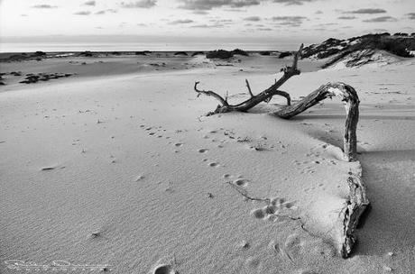[Settimana Eco] Notiziario su energie e scelte sostenibili. 2