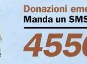 Terremoto Emilia-Romagna: sicurezza paga sangue