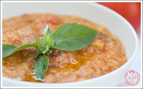 Pappa al pomodoro Pappa al pomodoro