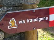 Francigena