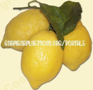 Crostata al limone