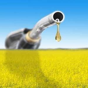 biocarburanti tutti i vantaggi e svantaggi