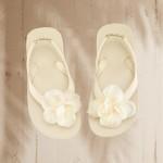 380239_10150843724180913_21415640912_9990844_1796201614_n