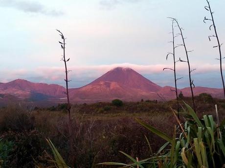 Il paesaggio 'marziano' del Tongariro National Park