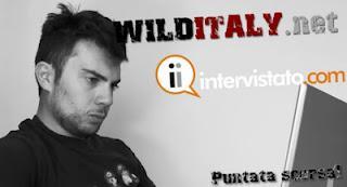 #TgWild 02.06.12 - #TgWild 02.06.12 -