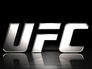 THQ perde la licenza UFC, il nuovo gioco sarà creato da EA