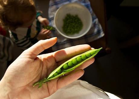 Peas and love!