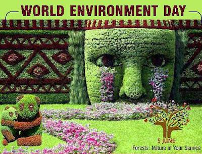 Giornata Mondiale dell'Ambiente & Blog CO2 neutral