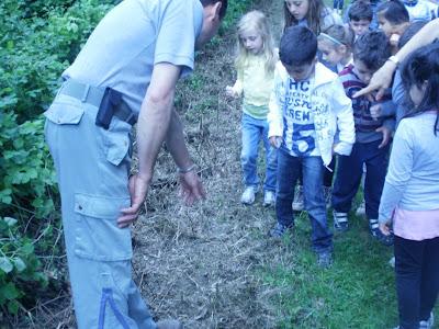 Il cammino del latte...laboratorio didattico della mungitura a Villa Petriolo