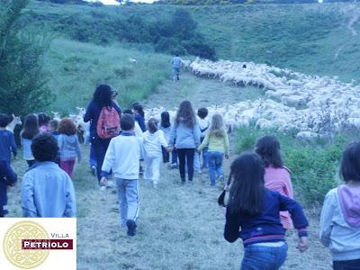 Il cammino del latte...laboratorio didattico della mungitura a Villa Petriolo