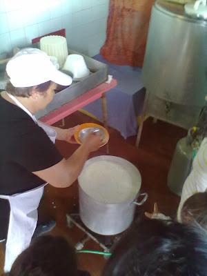 Il cammino del latte...laboratorio didattico della mungitura a Villa Petriolo