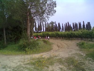 Il cammino del latte...laboratorio didattico della mungitura a Villa Petriolo