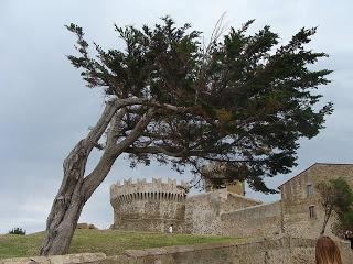 Un inguaribile viaggiatore al blogtour #ecvalbatros - Populonia