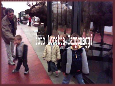 MUSEO NAZIONALE DI SCIENZE NATURALI