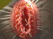 Patterns giochi superficie nelle opere installazioni jason hackenwerth