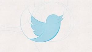 new twitter bird