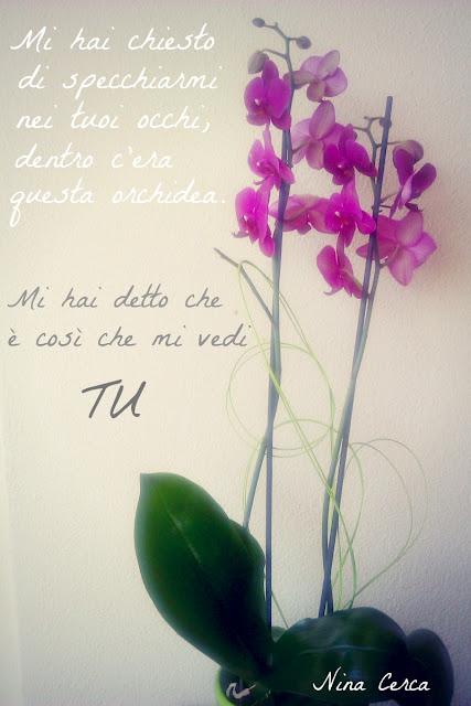 NINA OGGI E' UN'ORCHIDEA.