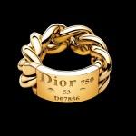 dior-jewelry-assouline-052-luc-513427_650x0