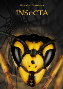 INSeCTA di Gianrico Gambino. Come sarà la Terra fra quattrocento anni?