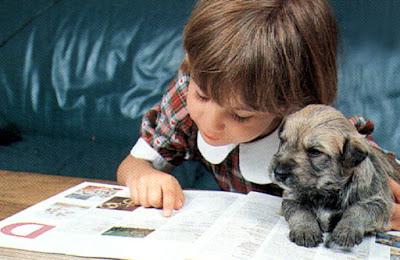 Più cani che bambini a Milano