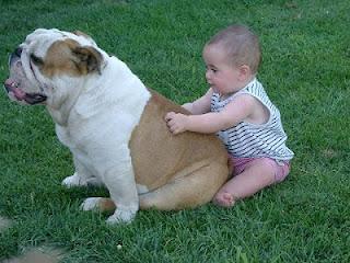 Più cani che bambini a Milano