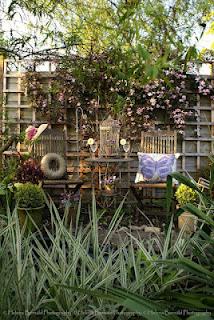 la clematide resta tra i rampicanti più prestigiosi