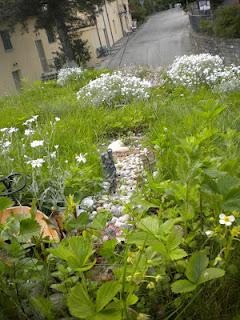 i giardini dei mestieri_ la cuoca