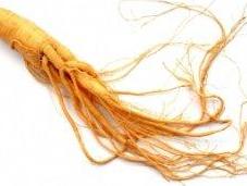 Ginseng, aiuto contro stanchezza malati cancro