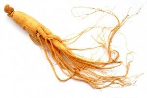 ginseng