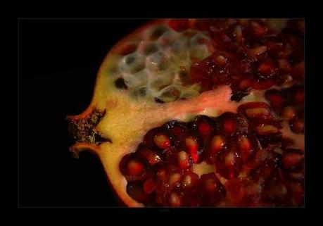 Pomegranate