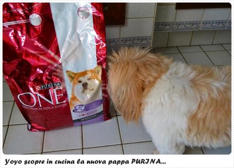 #Purina ONE Pet Diary