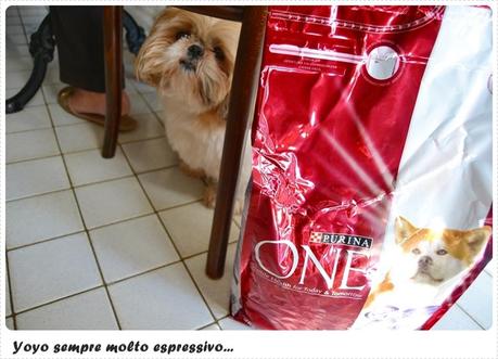 #Purina ONE Pet Diary